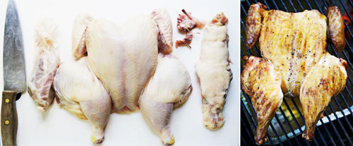 spatchcocked chicken